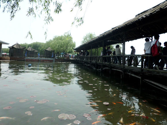 7db85d8da9773912c4fe69c3f8198618347ae2f0