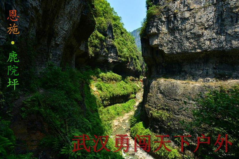 081941mmx11hgg6xevykiw_副本