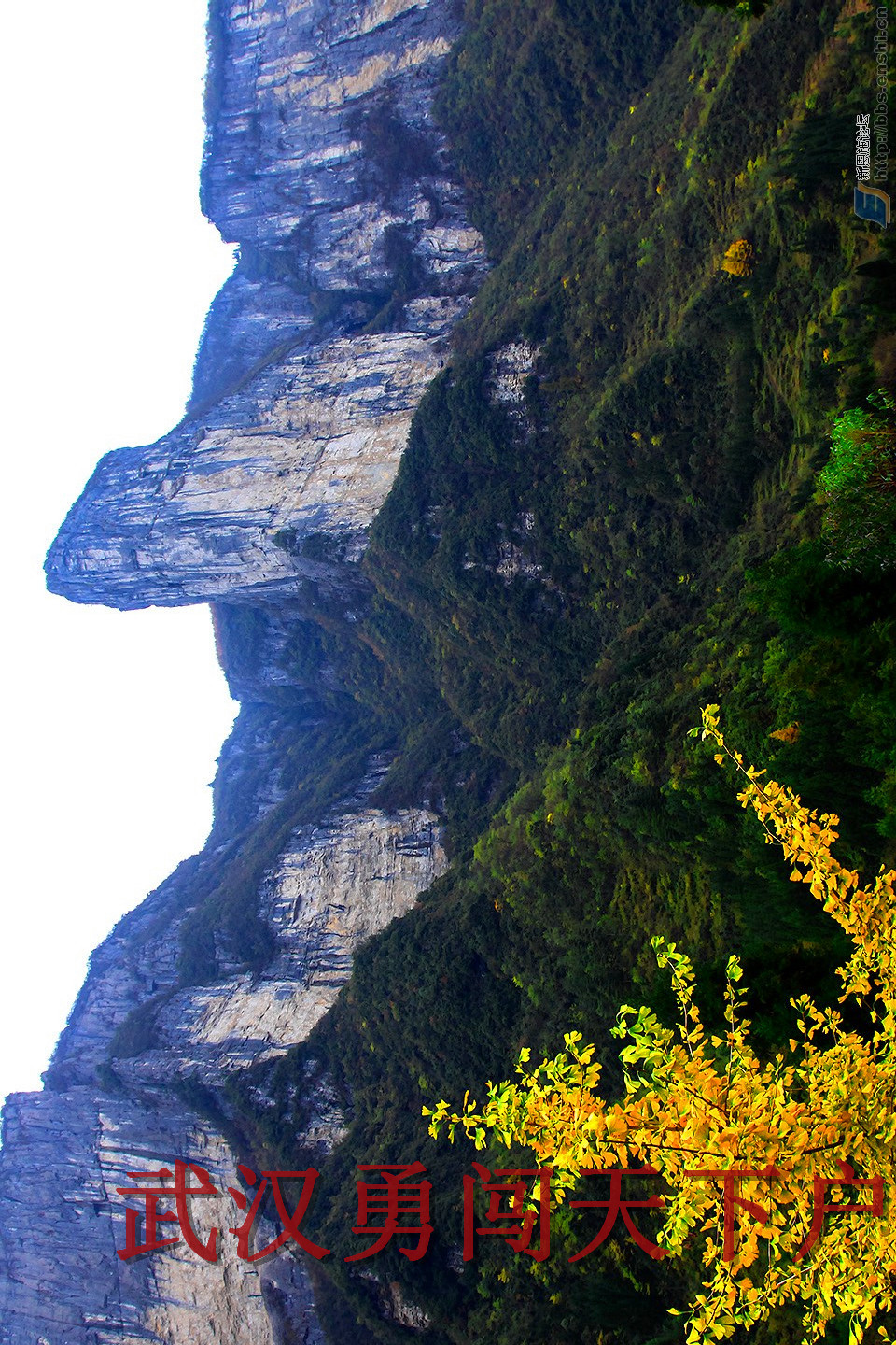 220359p0ijjye42i5yy6jy_副本