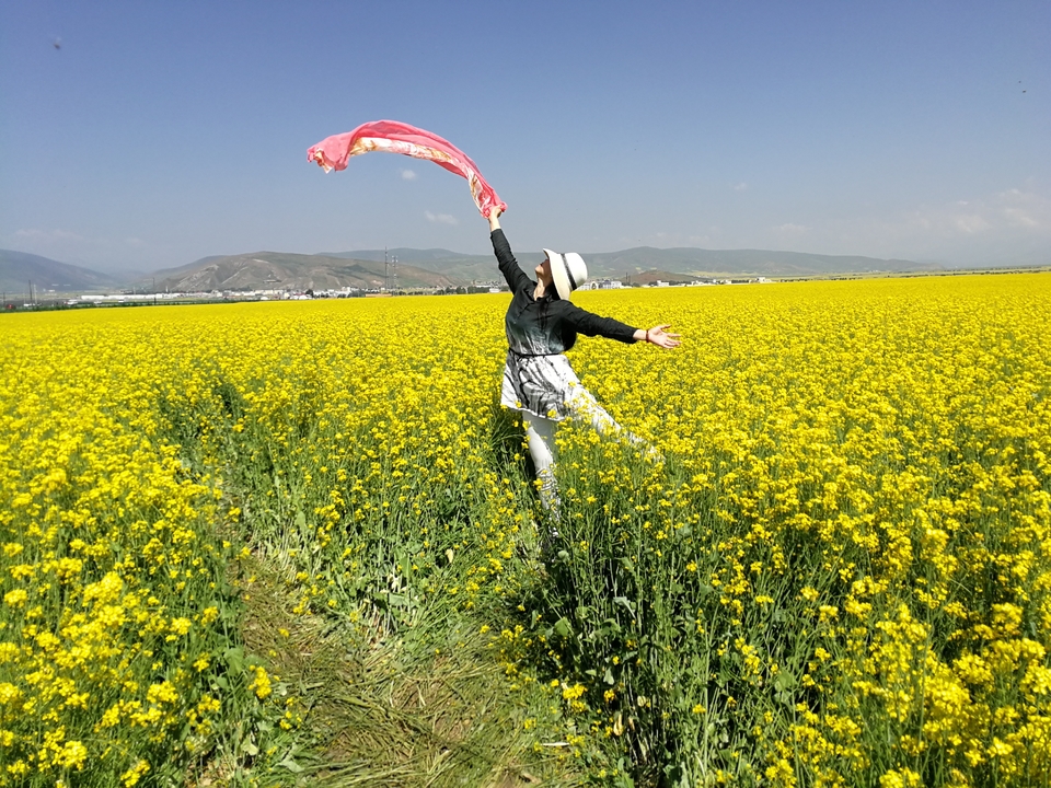 微信图片_20170801160545