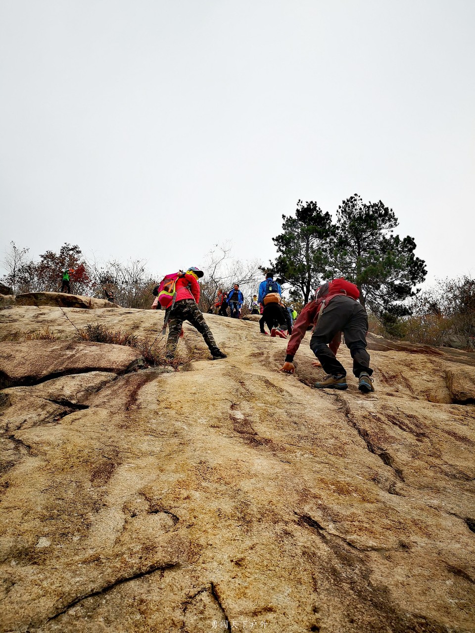 微信图片_20191125131640