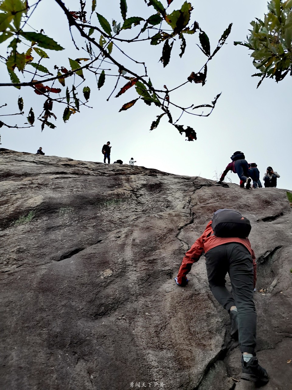 微信图片_20191125131653