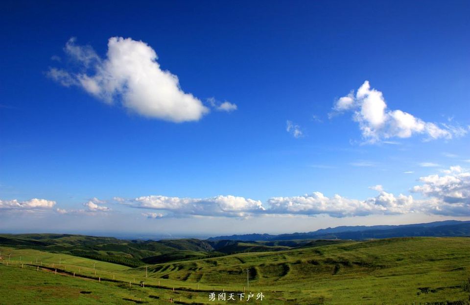 4279905_202842357000_2 (2)