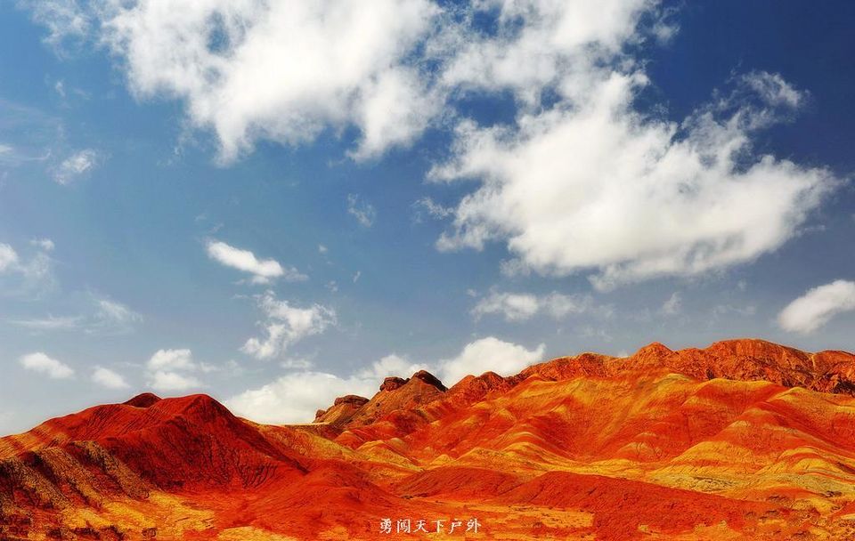 8951239_123509531115_2