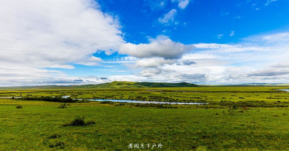 13125463_103650637000_2