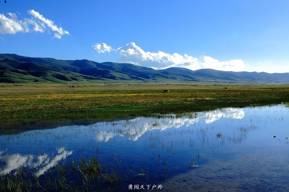 Cg-4k1n8IECIYCS6AAigCqo6drQAAIpoANssZYACKAi019