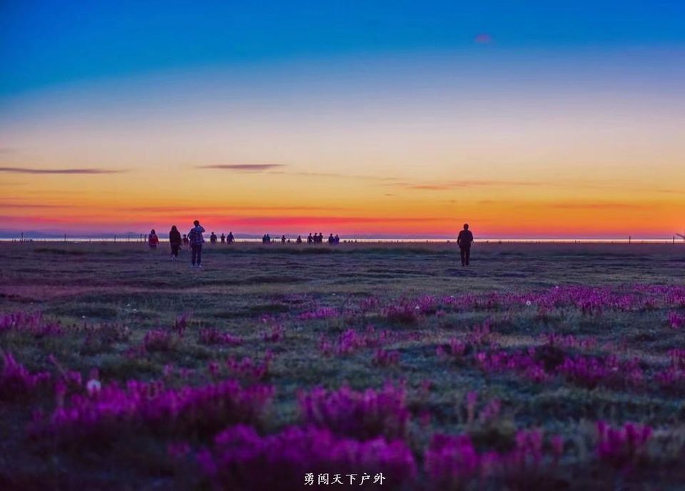 Cg-4klmKrdiINEXwAAIlFml4YmsAAIRIQLdnkQAAiUu861