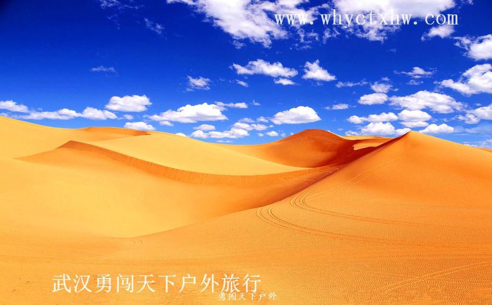 19302950_105823585001_2_副本