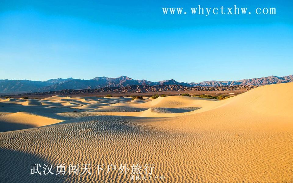 23825833_210653514000_2_副本