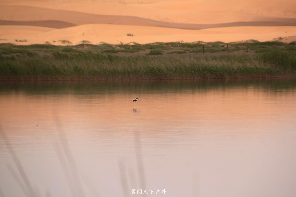 微信图片_20170706112108