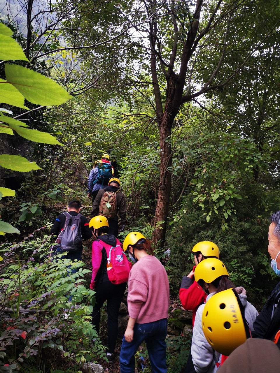 mmexport1603027348288