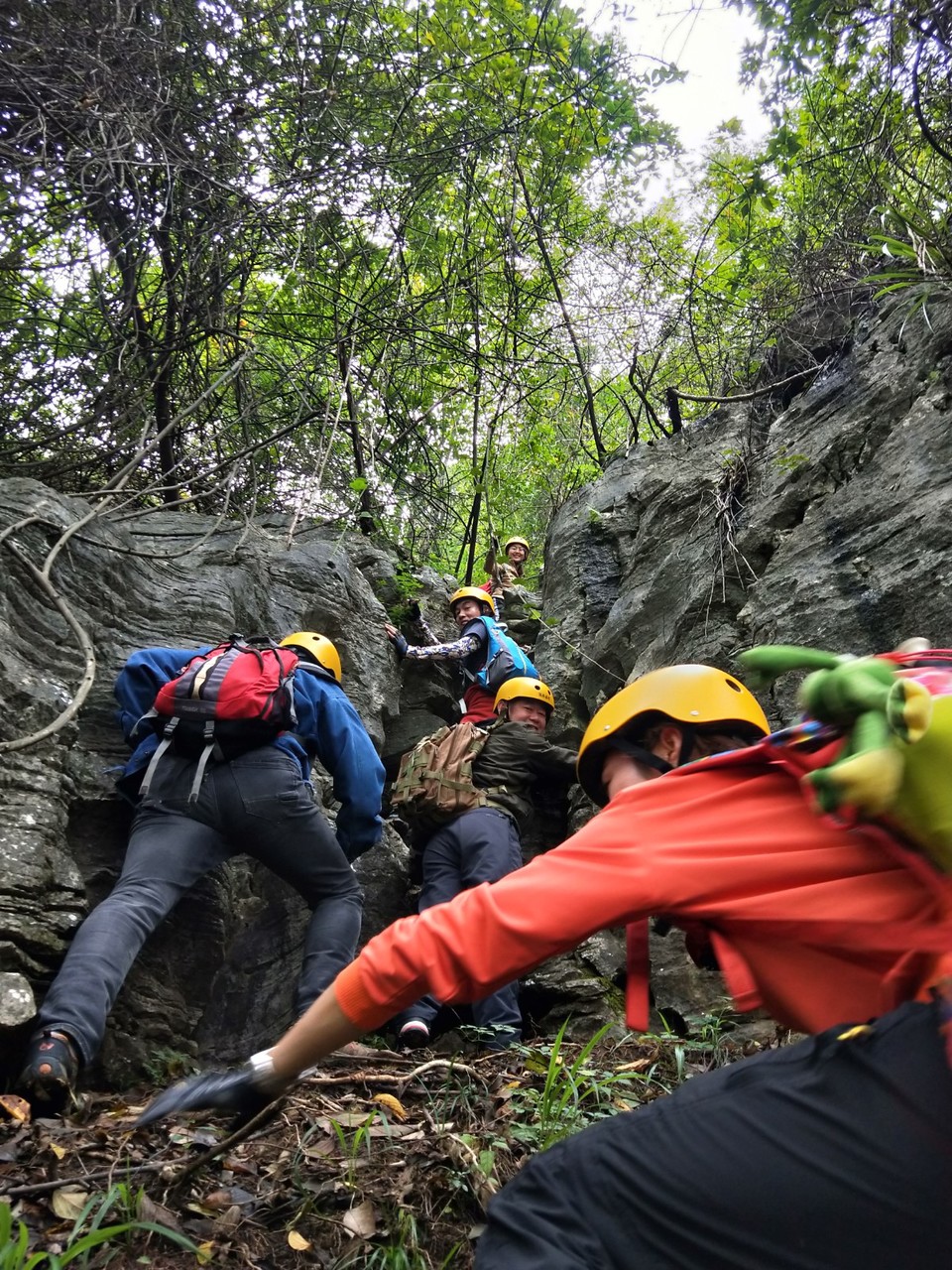 mmexport1603027309224