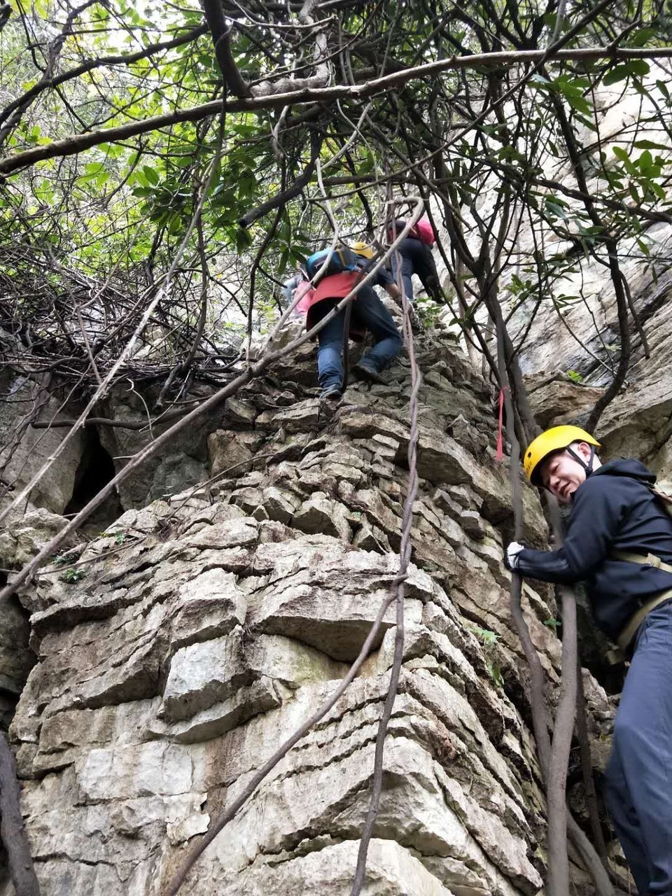 mmexport1603027299321