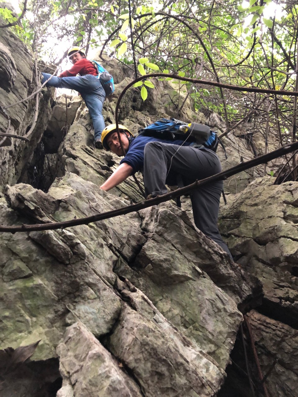 mmexport1603027234984