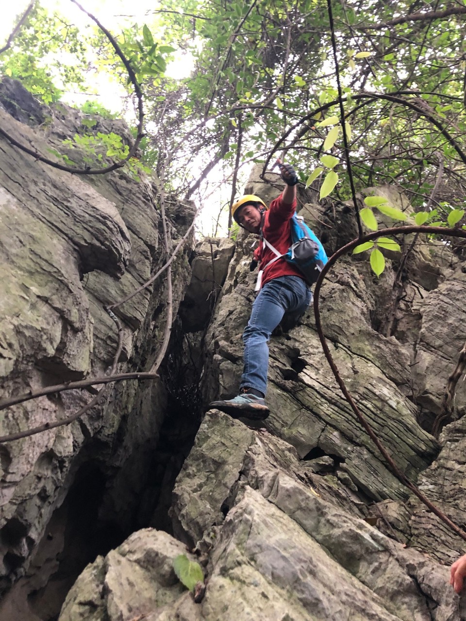 mmexport1603027231760