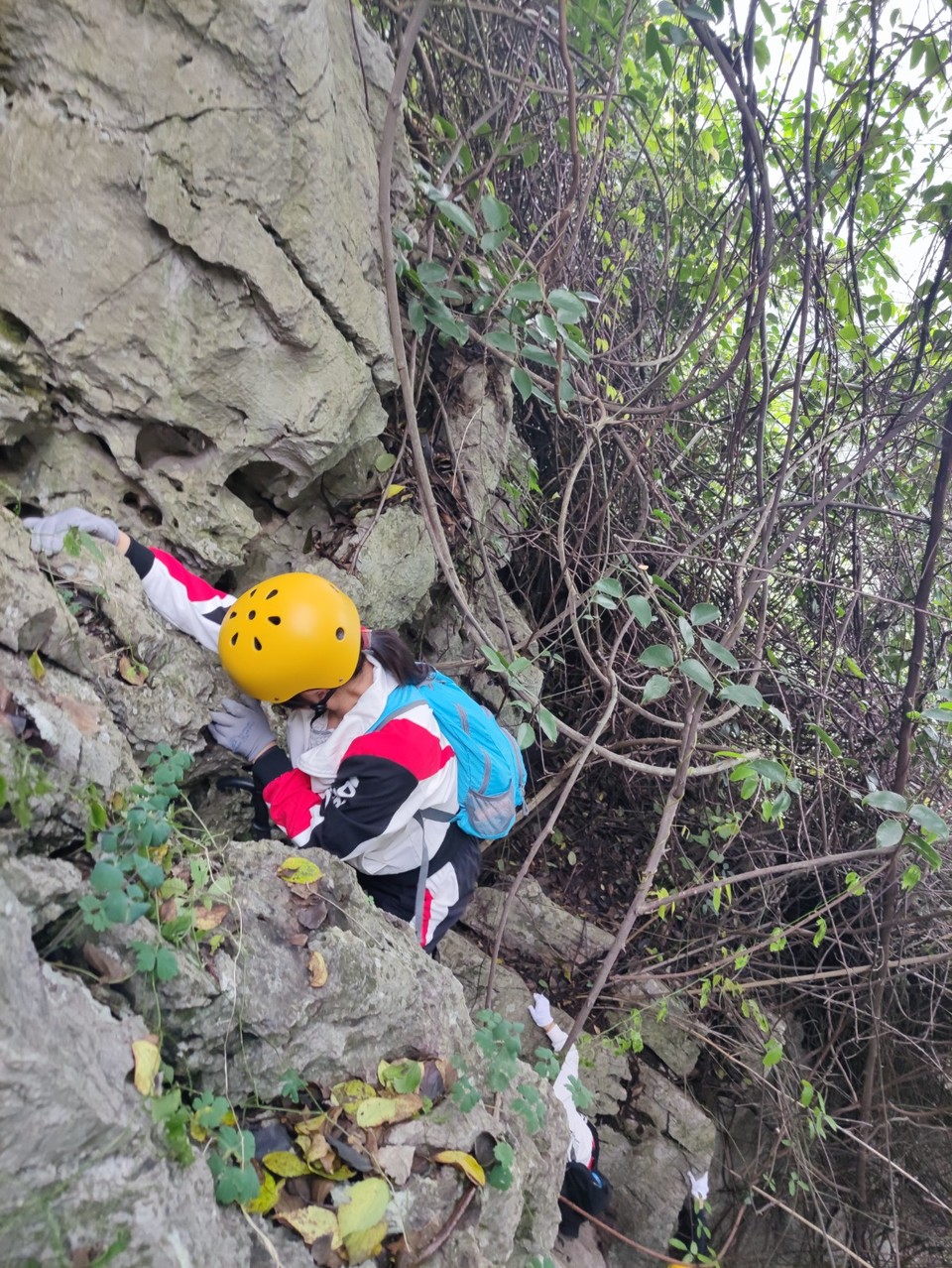 mmexport1603027373525