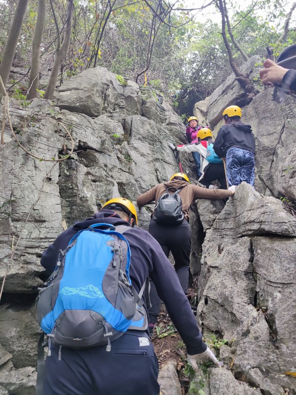 mmexport1603027383203