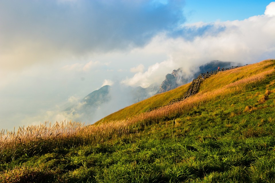 mmexport1601946529257