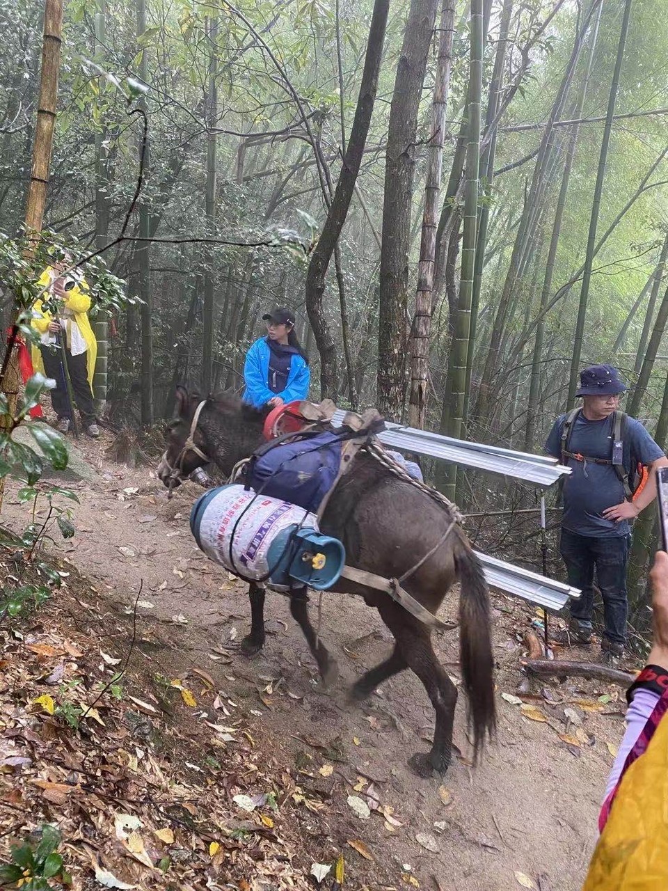 mmexport1601946617733