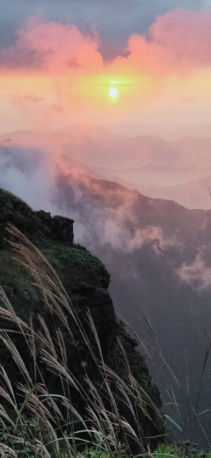 mmexport1601731299890