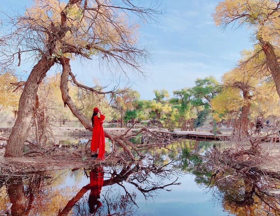 mmexport1601817731226