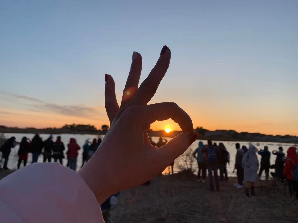 mmexport1601817723231