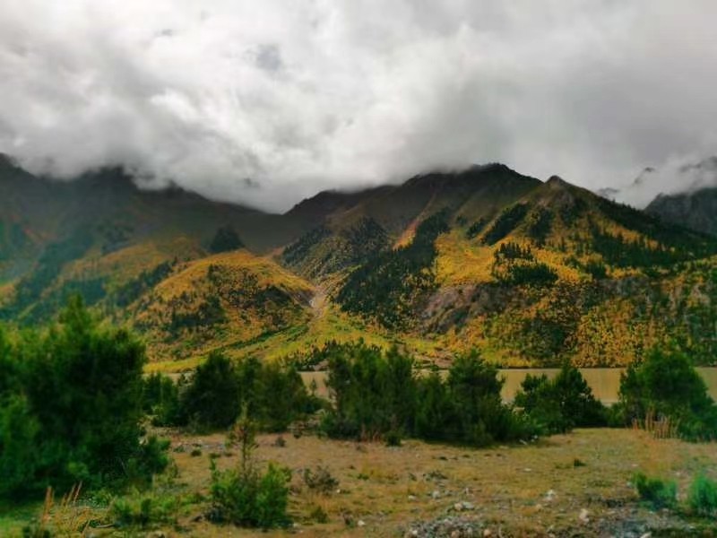 mmexport1601816862737