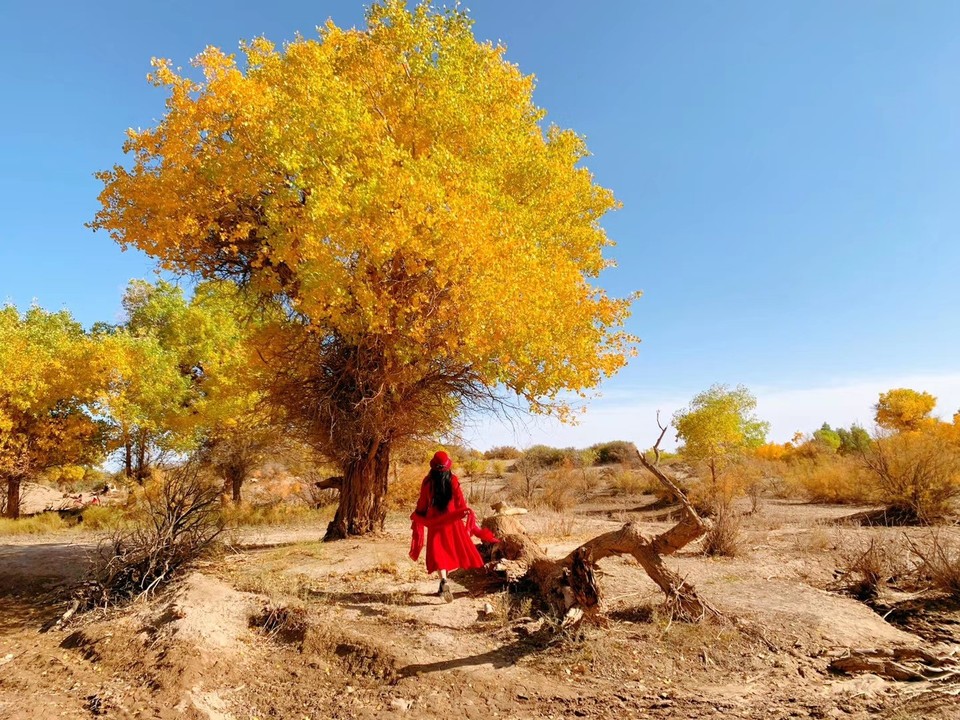 mmexport1601817704918