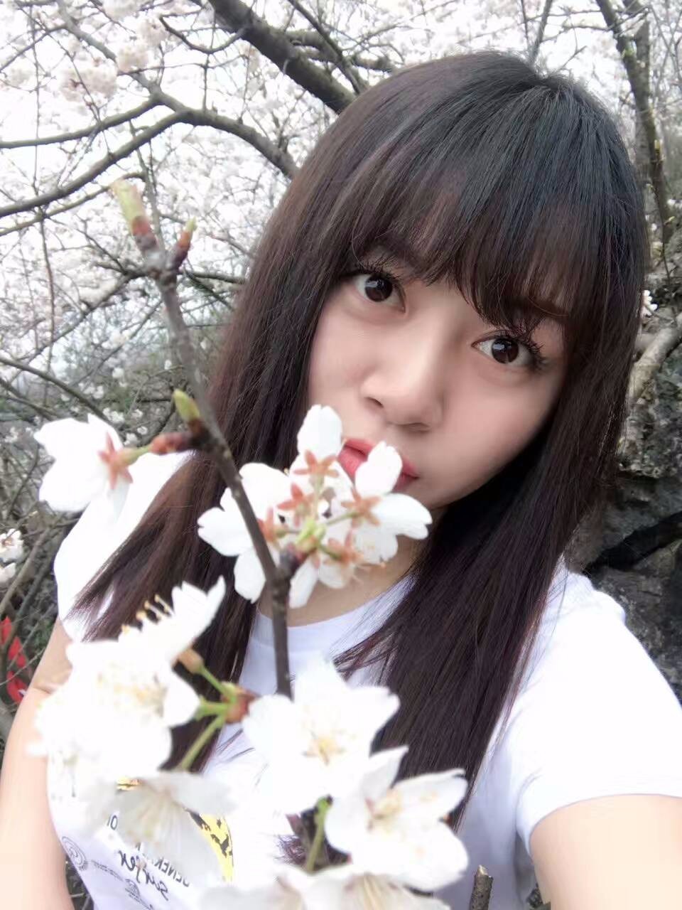 mmexport1489243556287