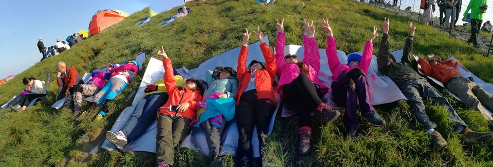 mmexport1493741819793