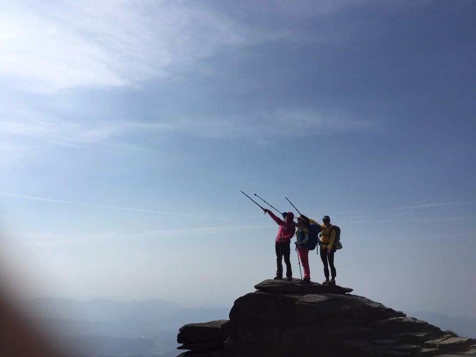 mmexport1493741218053