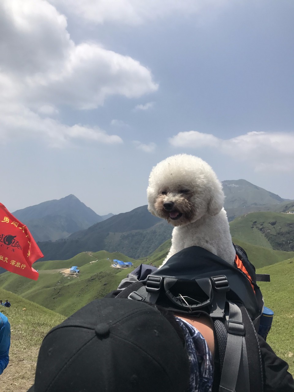 mmexport1493741913313