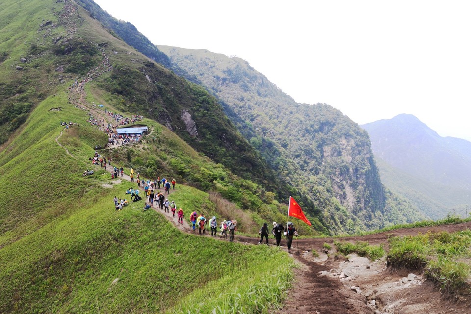 mmexport1493741858434