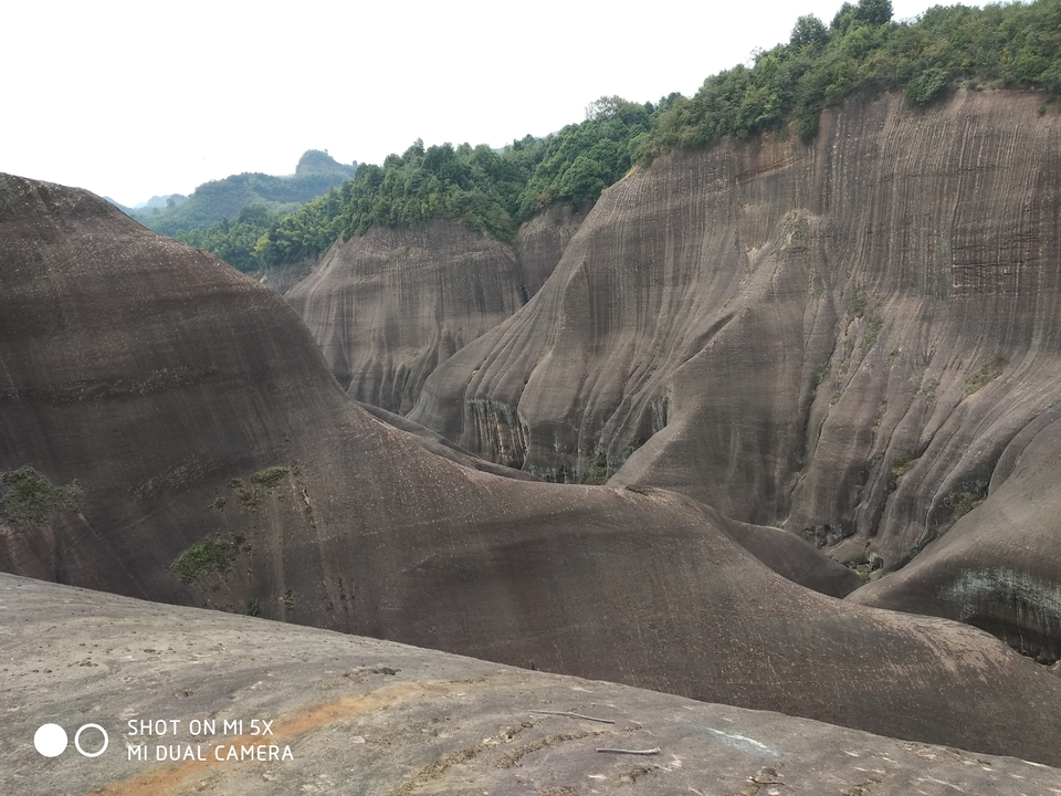 微信图片_20171012113533