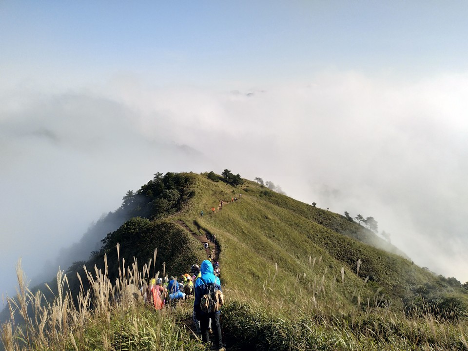 QQ图片20171010145633