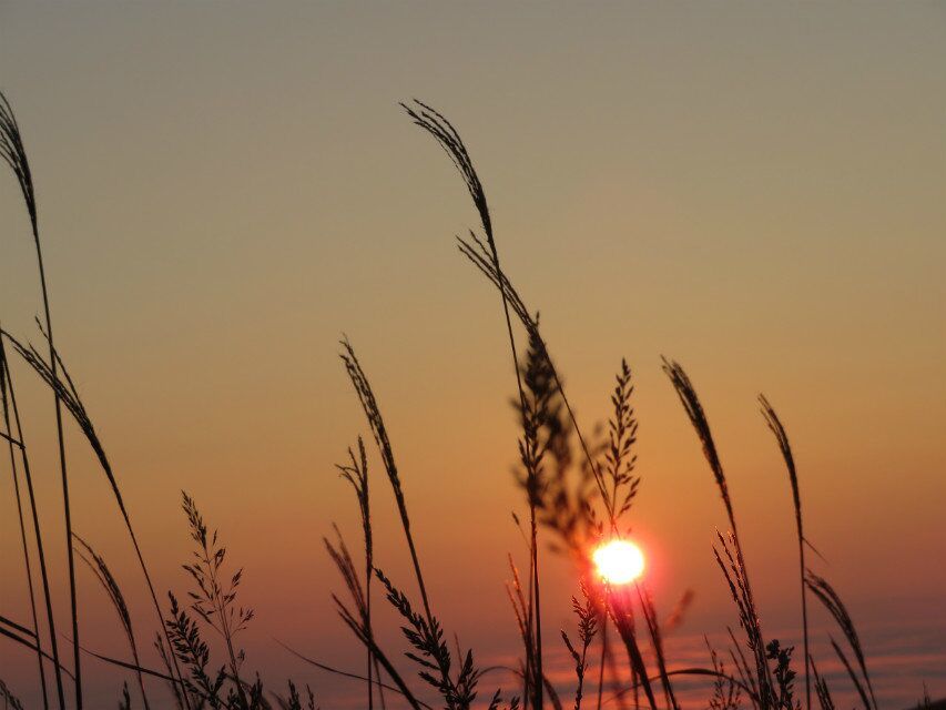 QQ图片20171011092653