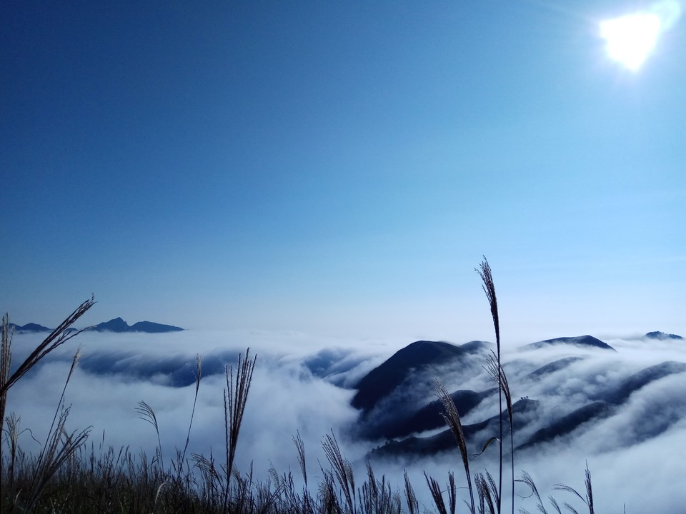 QQ图片20171010150522