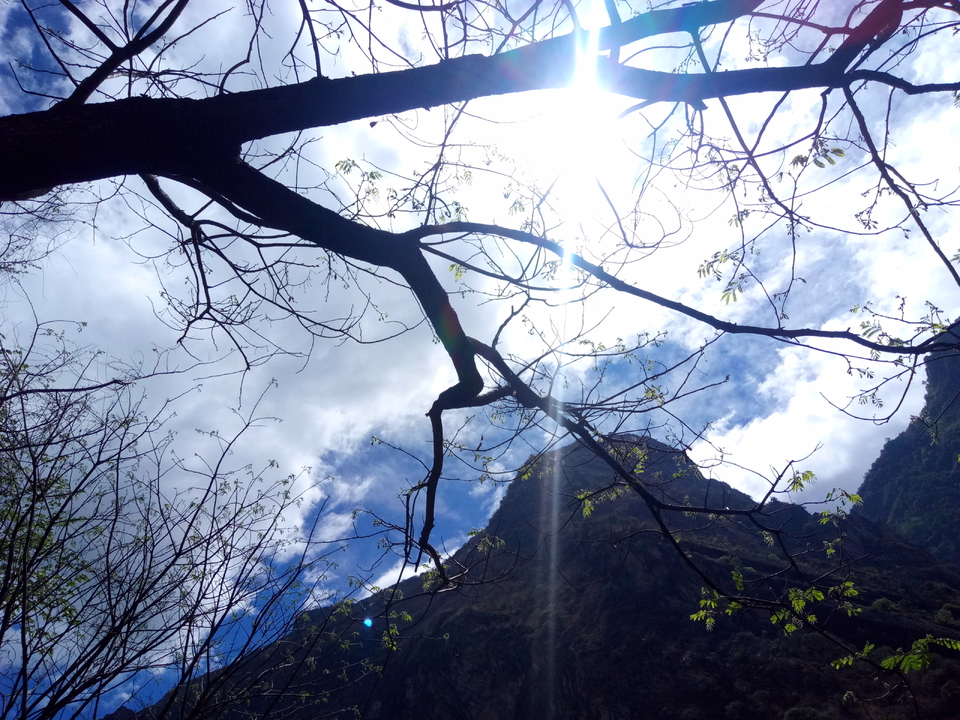 IMG_20170520_112506_694