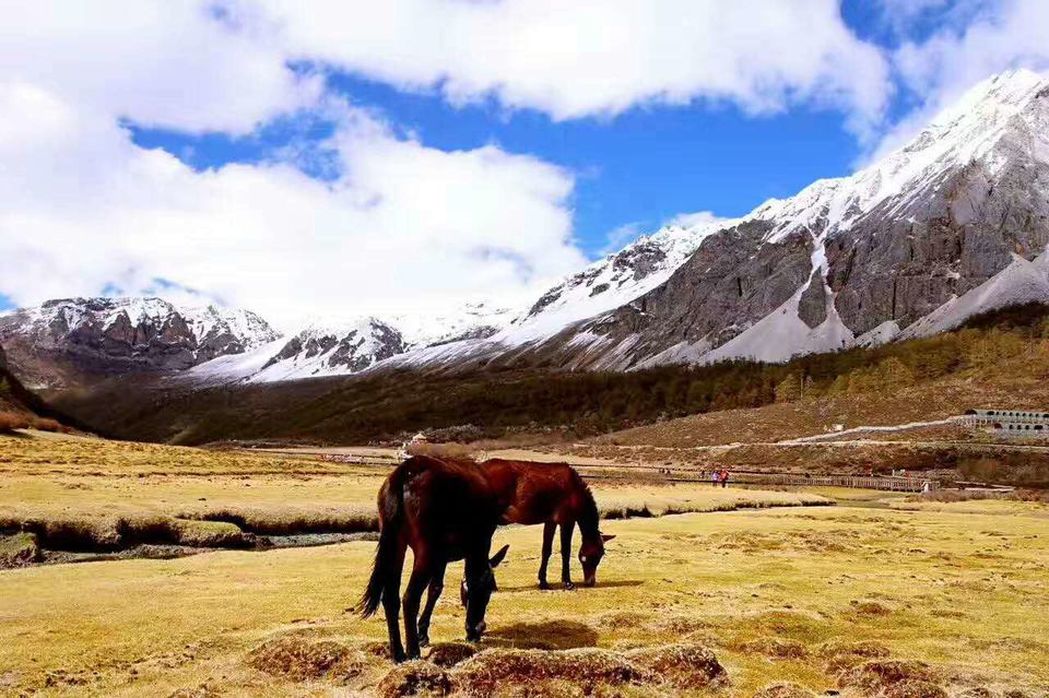 微信图片_20170527104436