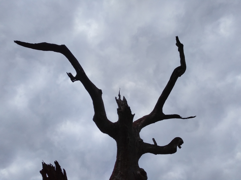 IMG_20171119_095056R