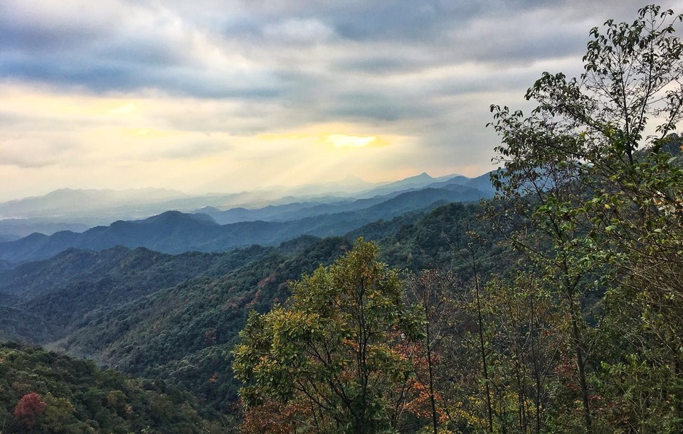 mmexport1511010434428