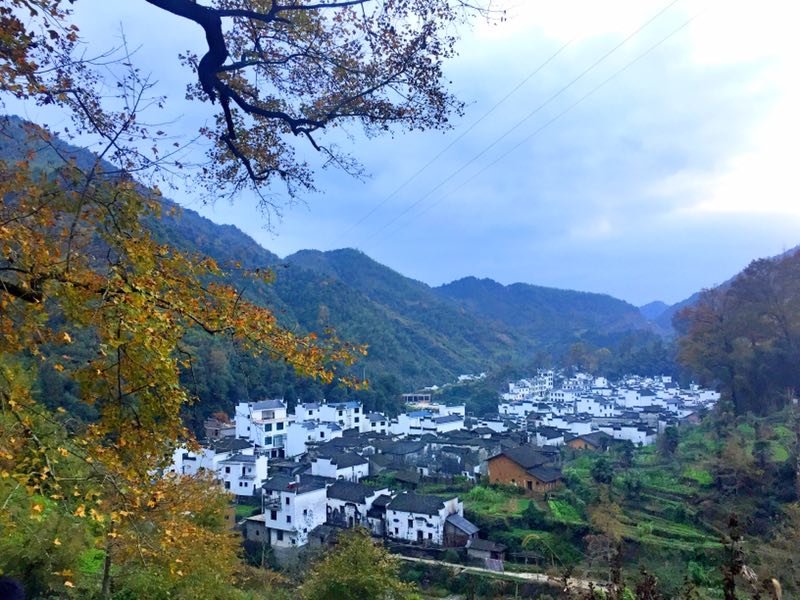 mmexport1511010446092