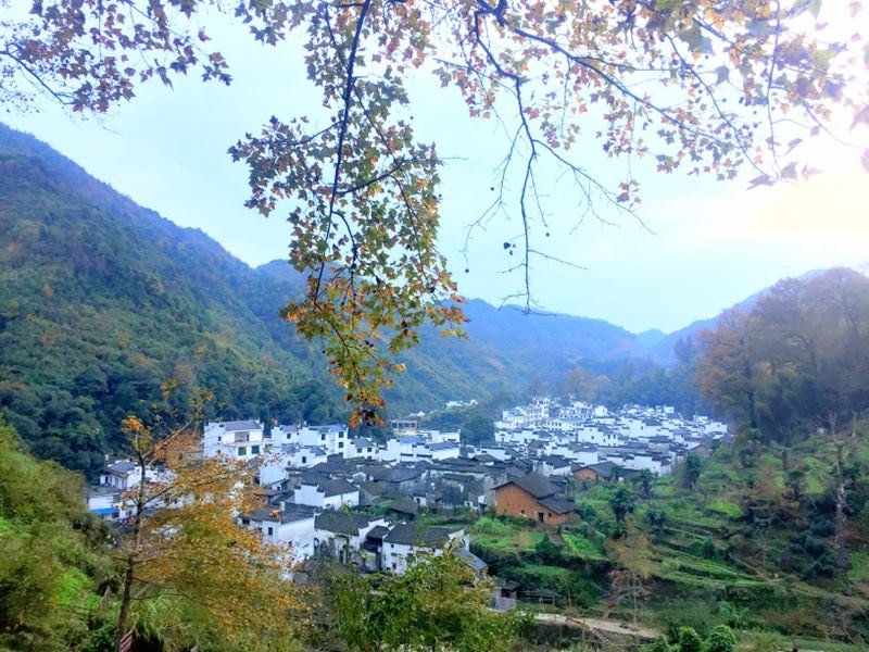 mmexport1511010463608