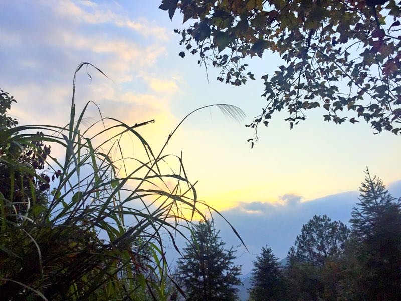 mmexport1511010466459