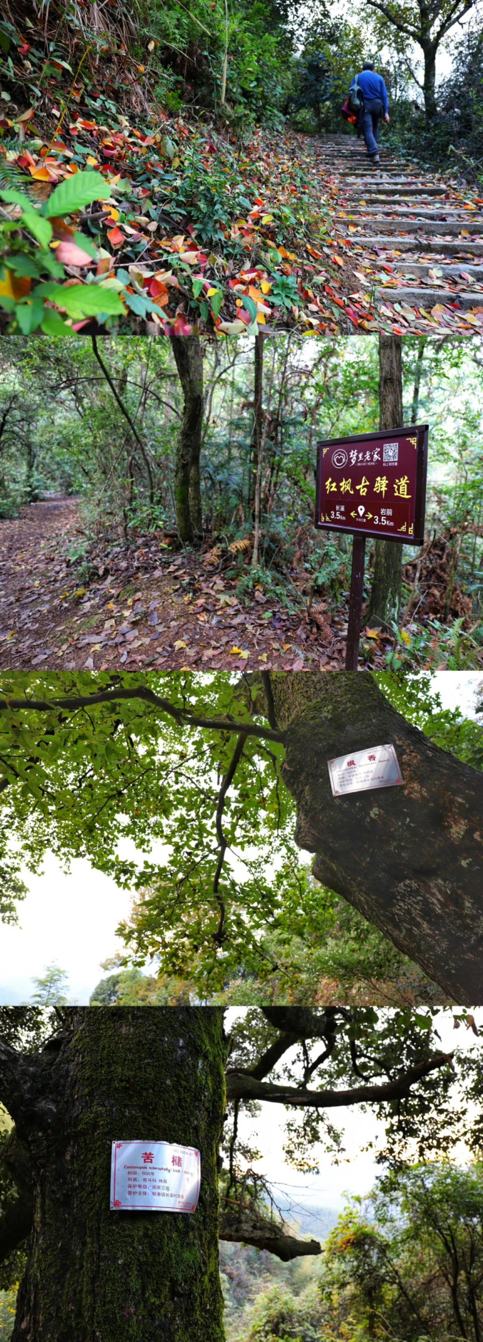 mmexport1511012682143