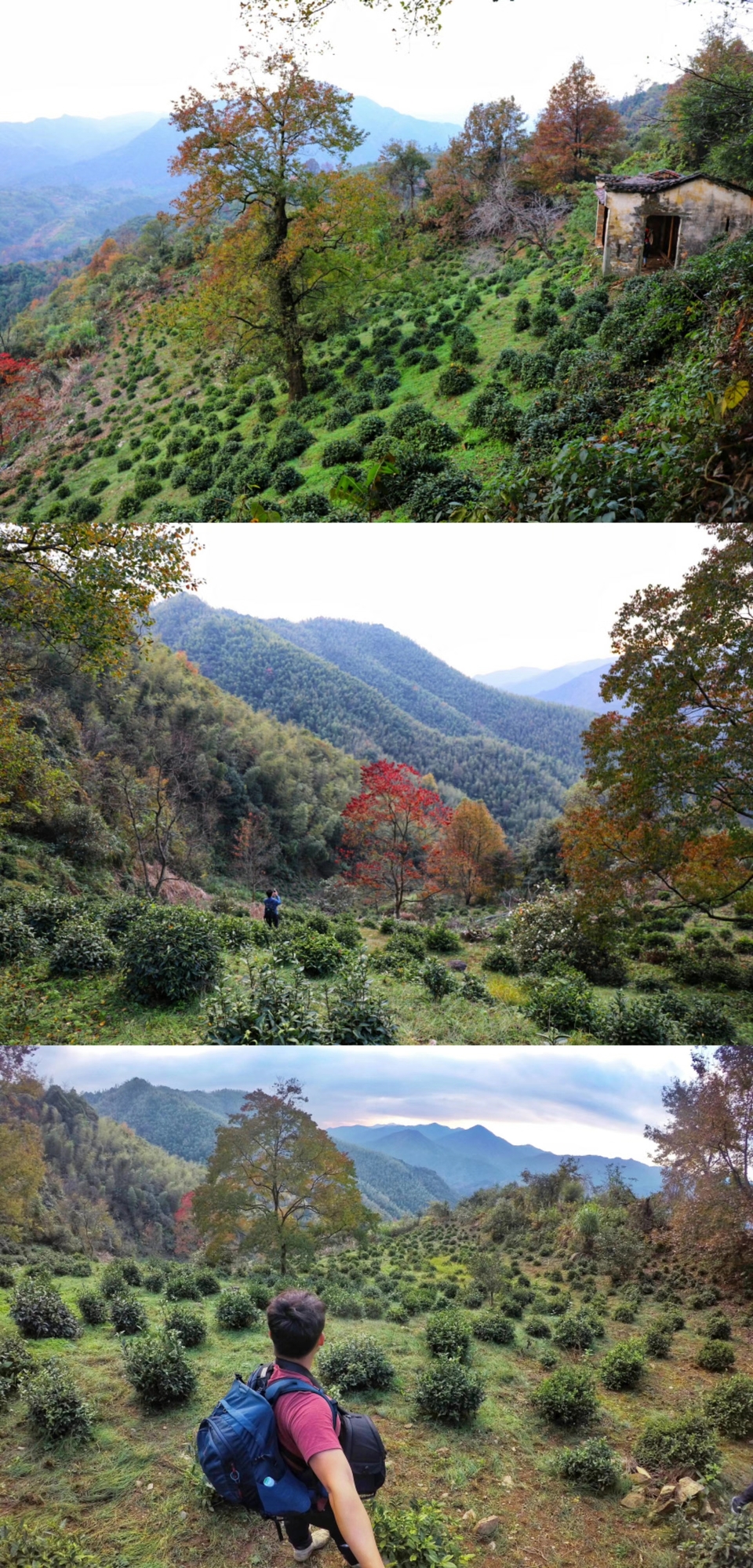 mmexport1511012689000