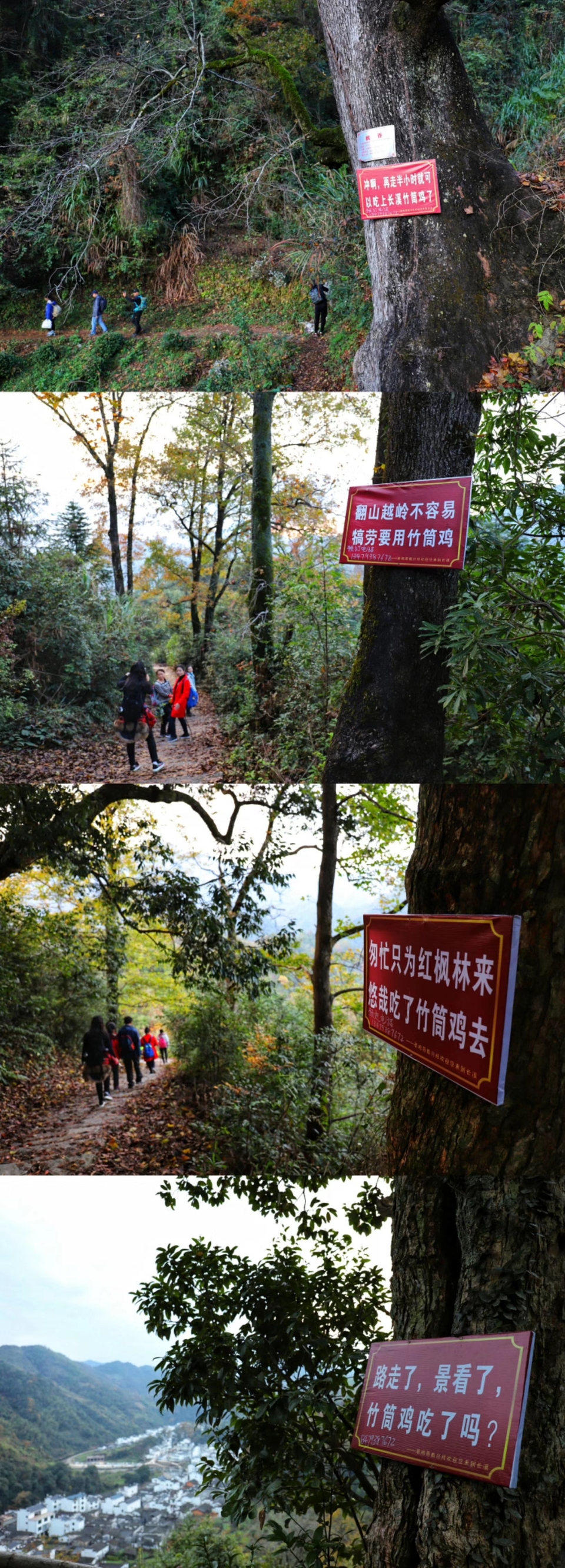 mmexport1511012696768