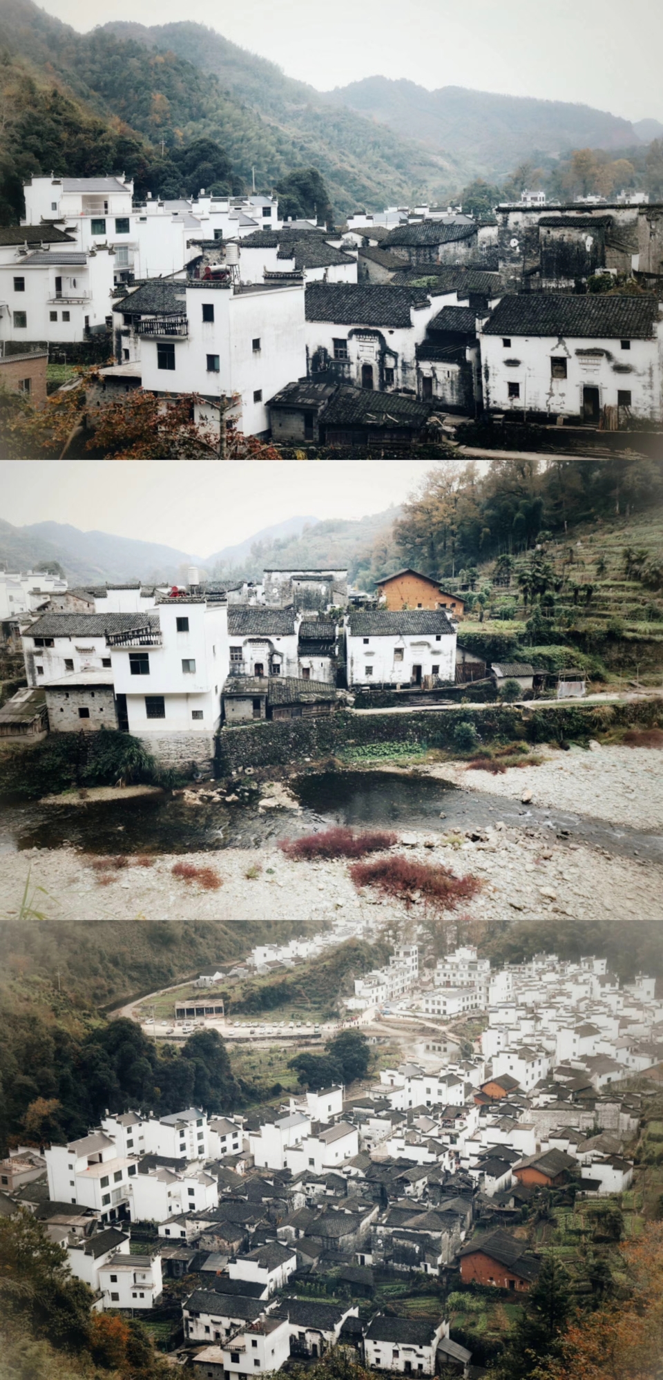 mmexport1511012711427