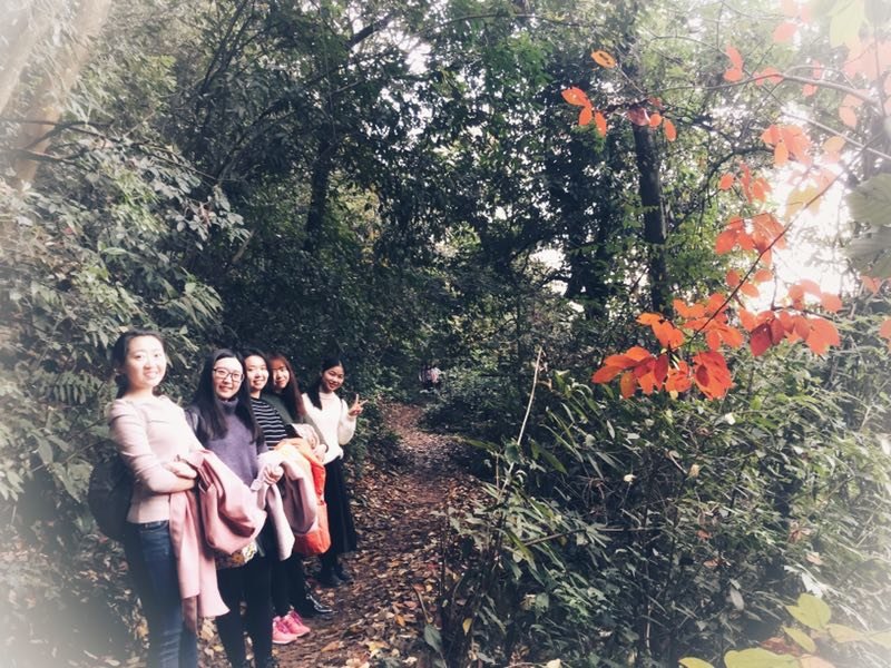 mmexport1511012854168