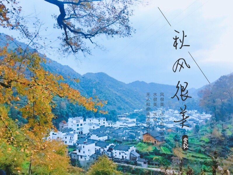 mmexport1511012891528